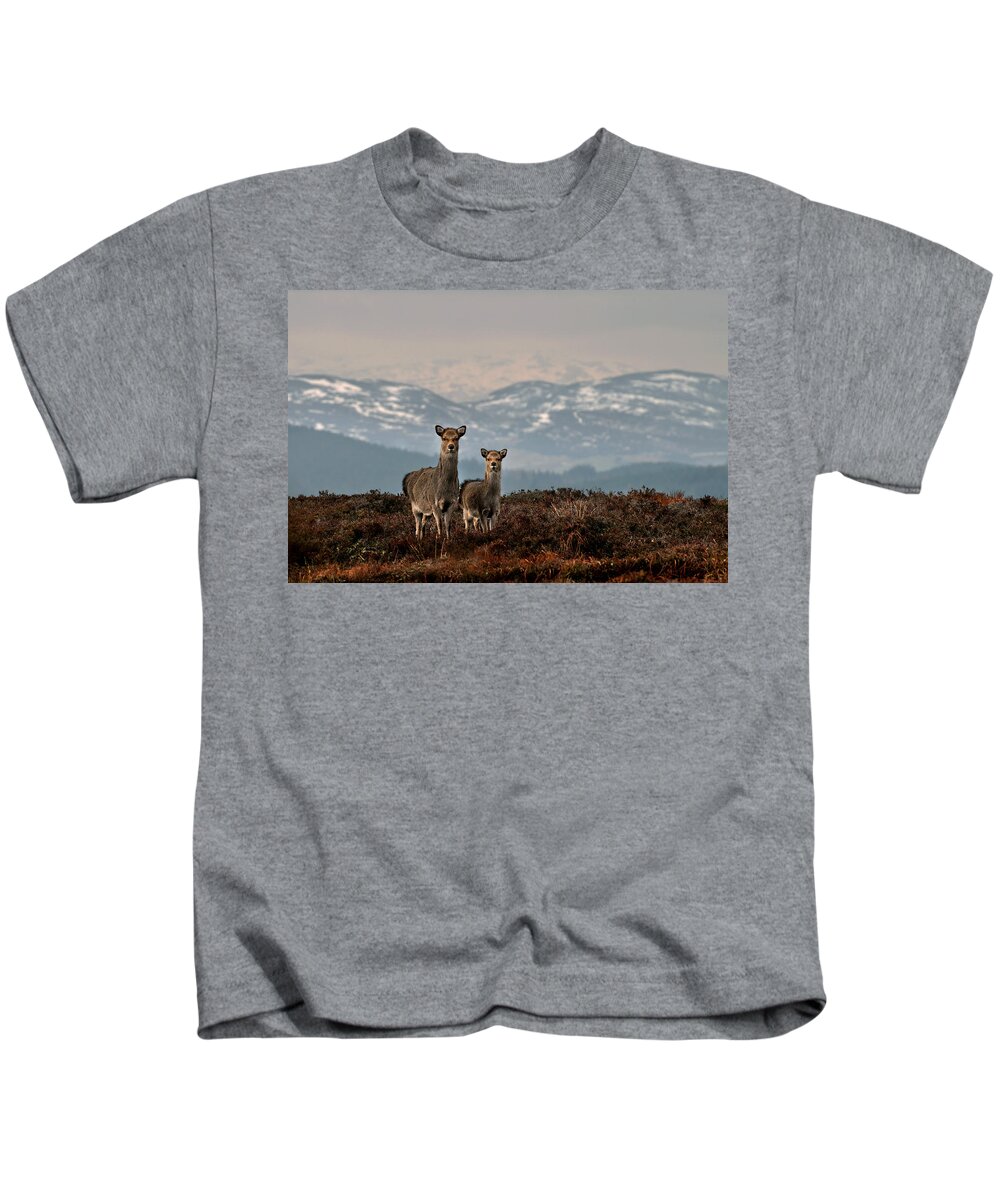 Sika Deer Kids T-Shirt featuring the photograph  Sika Deer by Gavin Macrae