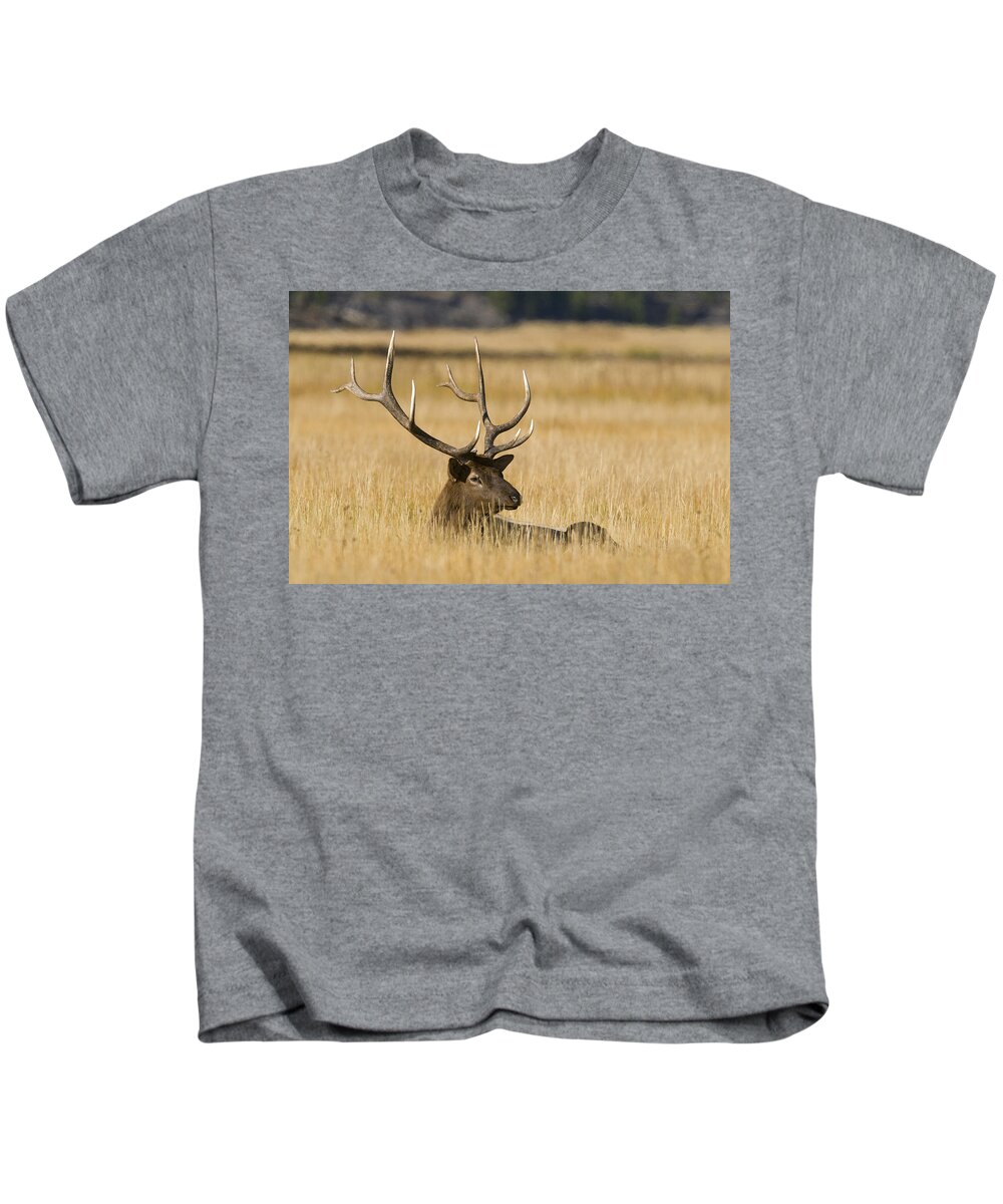 535869 Kids T-Shirt featuring the photograph Bull Elk Yellowstone Wyoming #1 by Steve Gettle