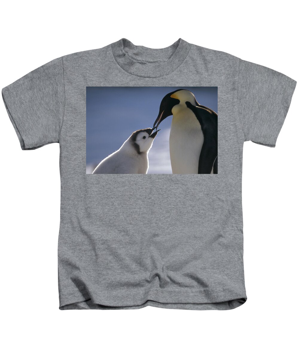 Feb0514 Kids T-Shirt featuring the photograph Emperor Penguin Feeding Chick Antarctica #1 by Tui De Roy