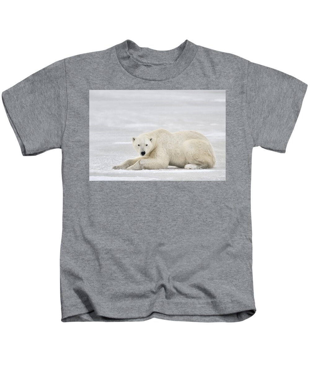 Nis Kids T-Shirt featuring the photograph Polar Bear On Pack Ice Churchill #1 by Andre Gilden