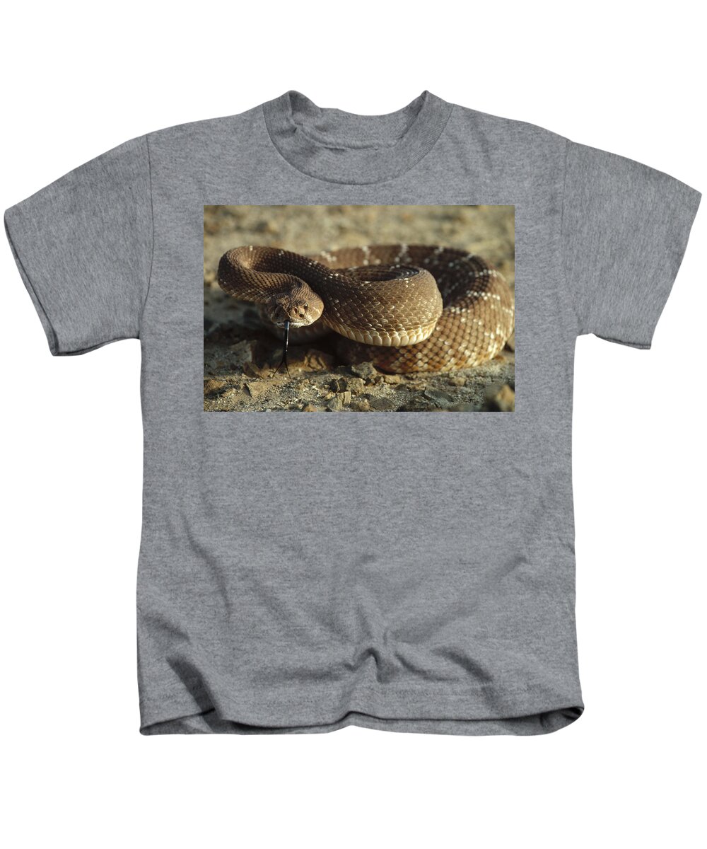 Feb0514 Kids T-Shirt featuring the photograph Red Rattlesnake Baja California Mexico #1 by Larry Minden