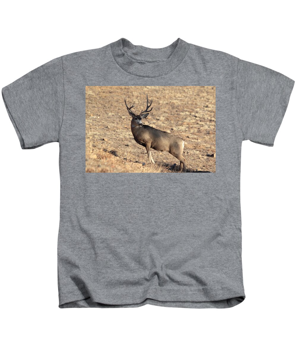 Mule Deer Kids T-Shirt featuring the photograph The Climb #1 by Shane Bechler
