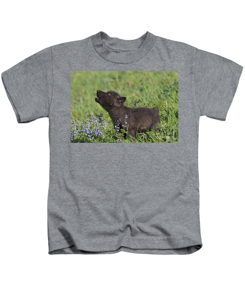 Grey Kids T-Shirt featuring the photograph Timber Wolf Cub, Canis Lupus #1 by M. Watson