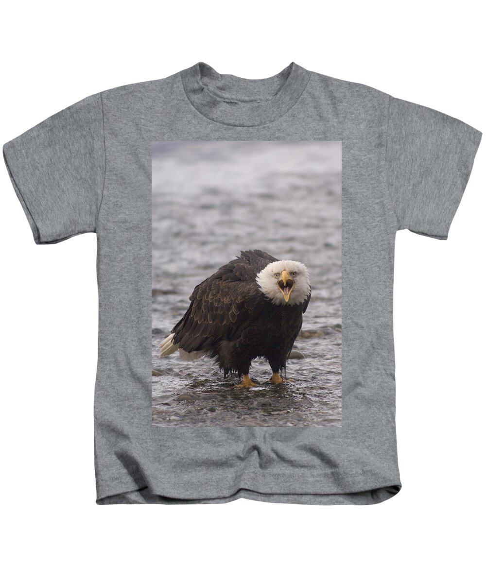 Feb0514 Kids T-Shirt featuring the photograph Bald Eagle Calling Alaska #2 by Michael Quinton
