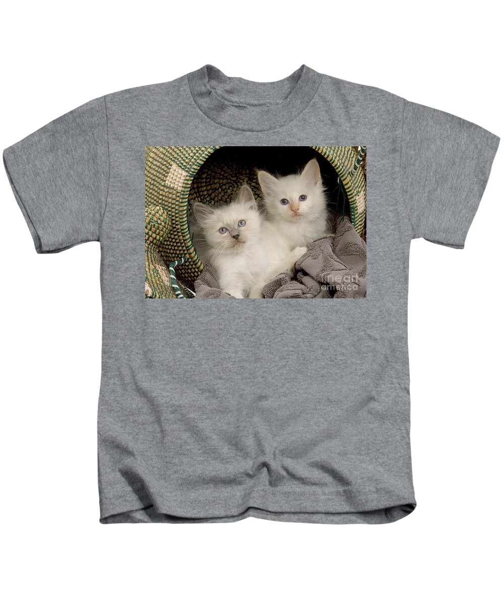 Cat Kids T-Shirt featuring the photograph Birman Kittens #2 by Jean-Michel Labat