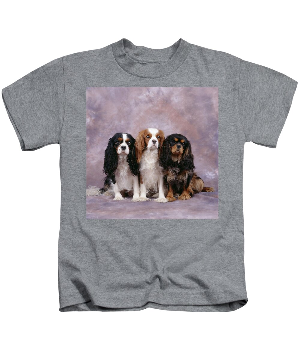 Dog Kids T-Shirt featuring the photograph Cavalier King Charles Spaniels #3 by John Daniels
