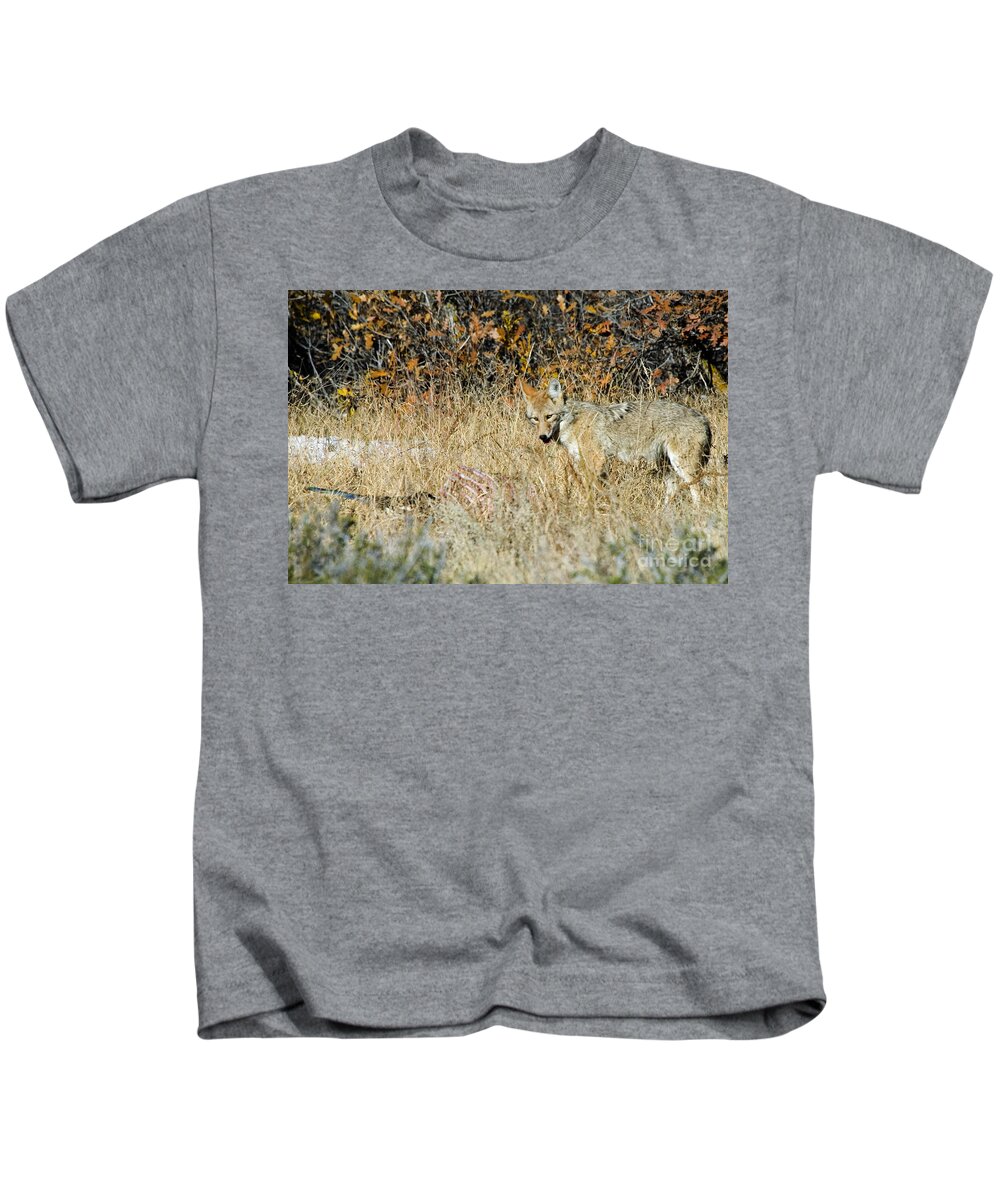 Coyote Kids T-Shirt featuring the photograph Coyotes #3 by Steven Krull