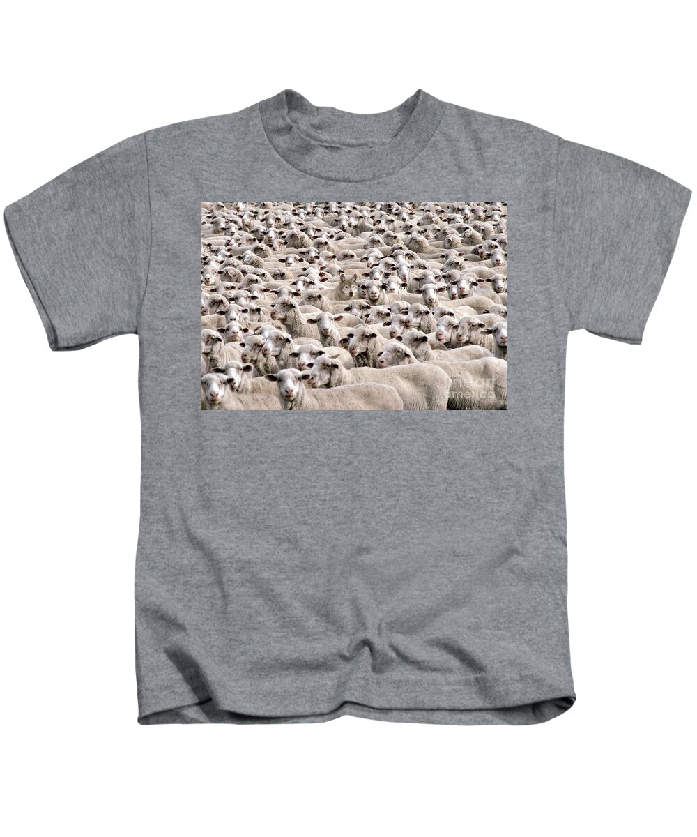 Wolf Kids T-Shirt featuring the photograph A Wolf In Sheeps Clothing by Mike Agliolo