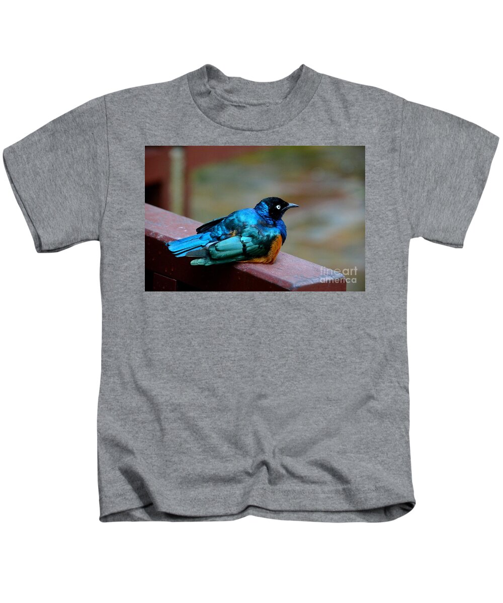 Bird Kids T-Shirt featuring the photograph African Superb Starling bird rests on wooden beam by Imran Ahmed