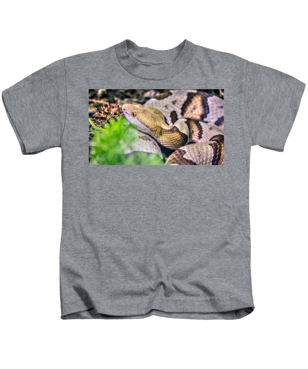 Agkistrodon Kids T-Shirt featuring the photograph Agkistrodon contortrix by Traveler's Pics