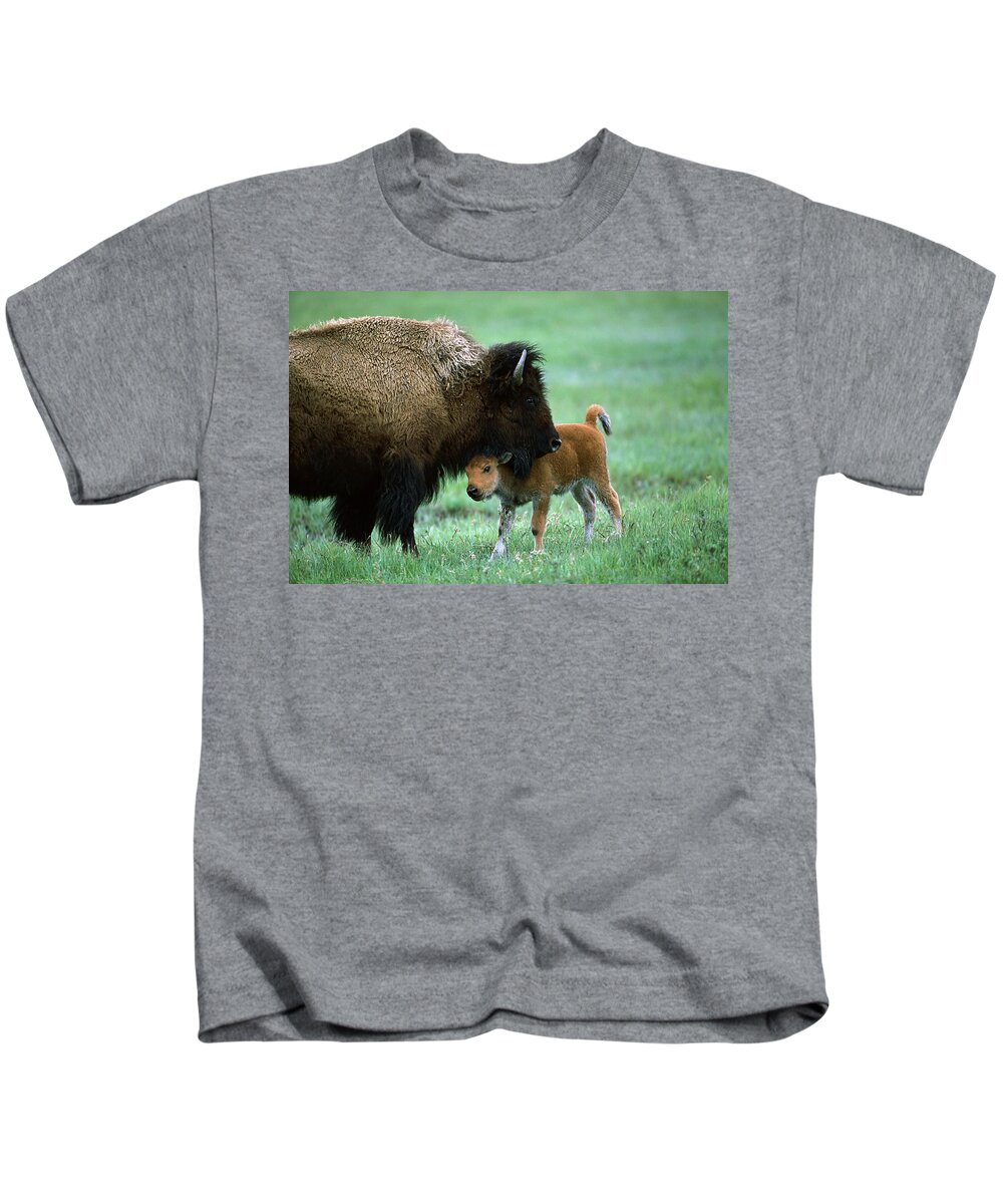 00761609 Kids T-Shirt featuring the photograph American Bison and Calf Yellowstone NP by Suzi Eszterhas