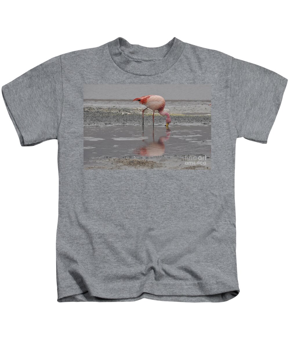 Birds Kids T-Shirt featuring the photograph Andean Flamingo Phoenicopterus andinus by Judith Katz