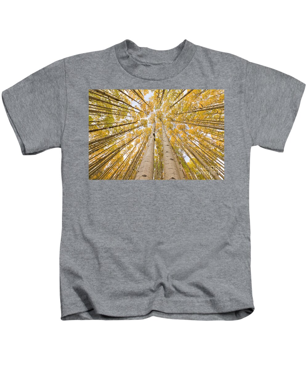 00559141 Kids T-Shirt featuring the photograph Autumn Quaking Aspen Rocky Mts Colorado by Yva Momatiuk and John Eastcott