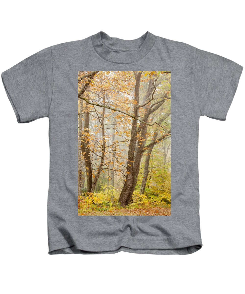 Appalacia Kids T-Shirt featuring the photograph Autumn Trees by Jo Ann Tomaselli by Jo Ann Tomaselli