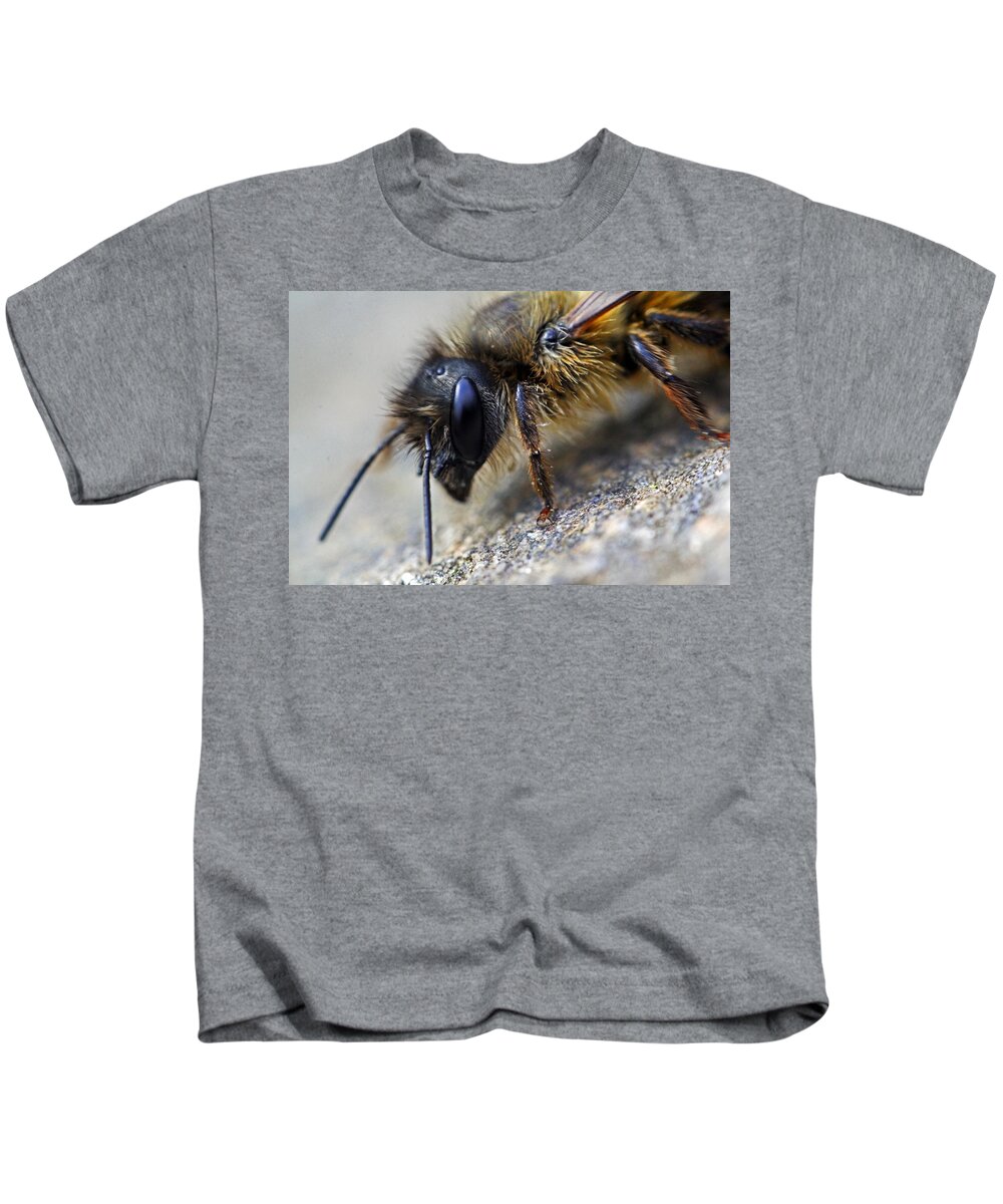 Insects Kids T-Shirt featuring the photograph Bee Careful by Jennifer Robin