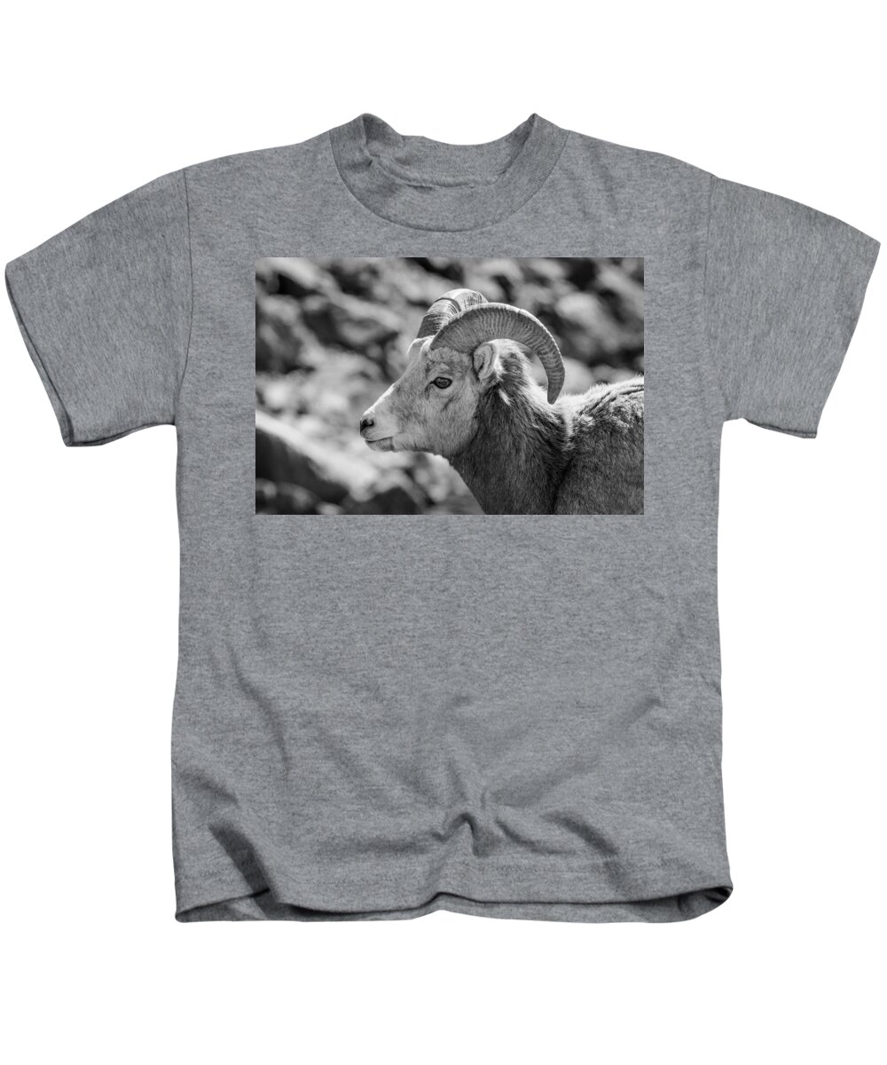 Big Horn Sheep Kids T-Shirt featuring the photograph Big Horn Sheep Profile by Roxy Hurtubise