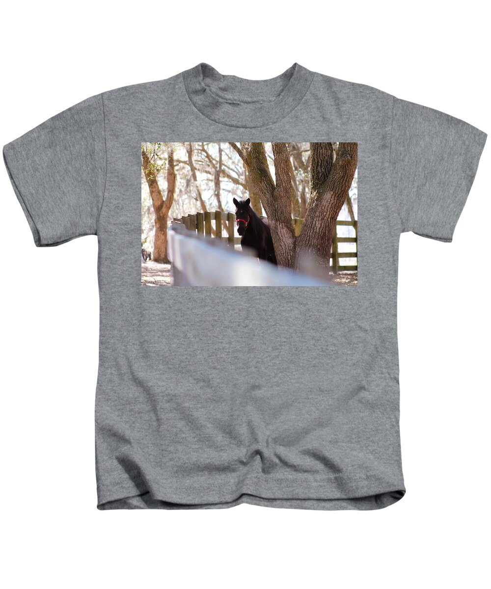 Equine Kids T-Shirt featuring the photograph Black Beauty by Jessica Brown