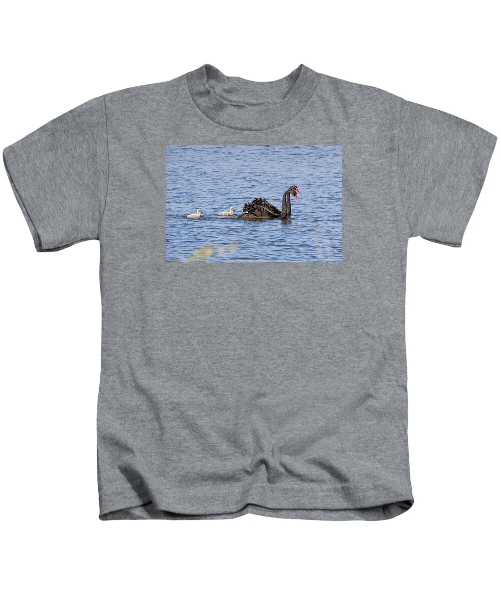 Australia Kids T-Shirt featuring the photograph Black swans by Steven Ralser