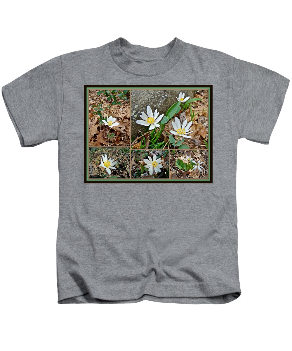 Wildflower Kids T-Shirt featuring the photograph Bloodroot Wildflowers - Sanguinaria canadensis L by Carol Senske