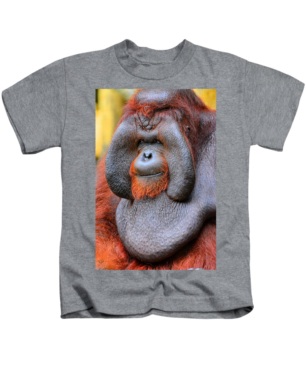 Bornean Orangutan IV Kids T-Shirt by - Pixels