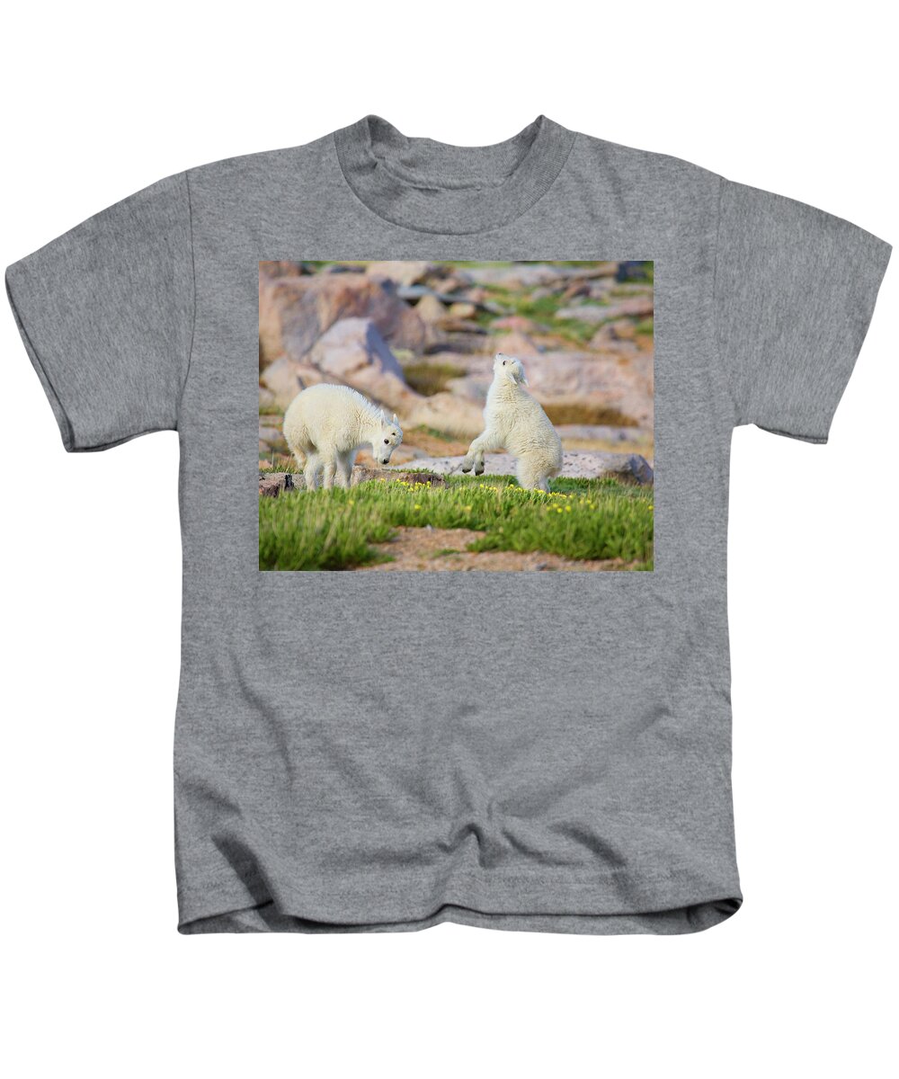 Mountain Goats Kids T-Shirt featuring the photograph Bow to Your Partner by Jim Garrison