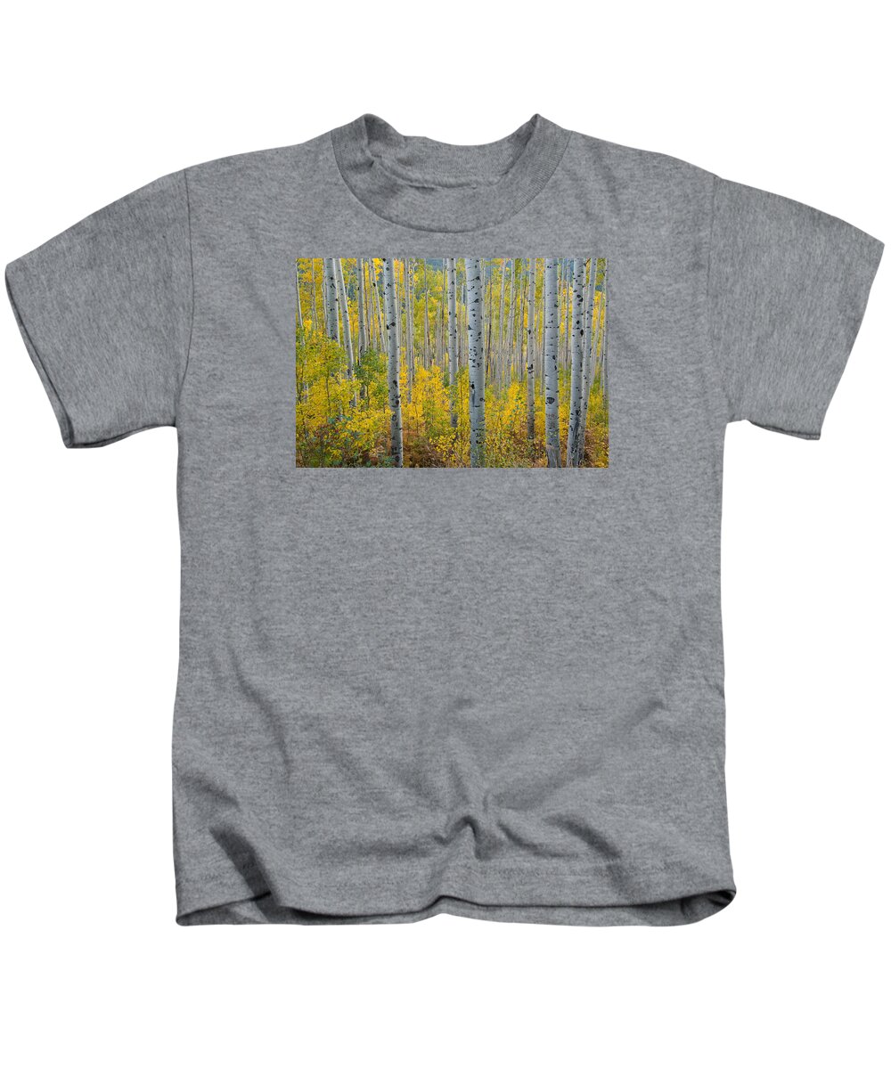 Forest Kids T-Shirt featuring the photograph Brilliant Colors of the Autumn Aspen Forest by Cascade Colors