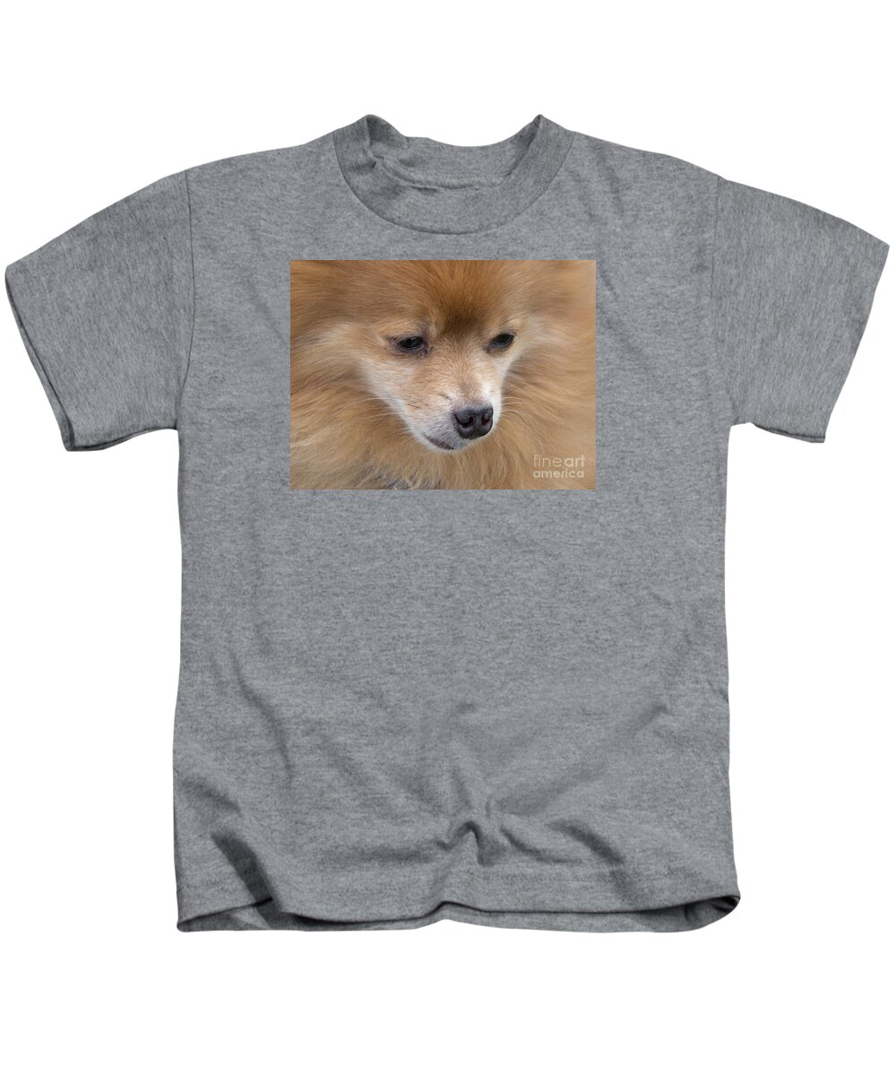 Dog Kids T-Shirt featuring the photograph Buddy by Ann Horn