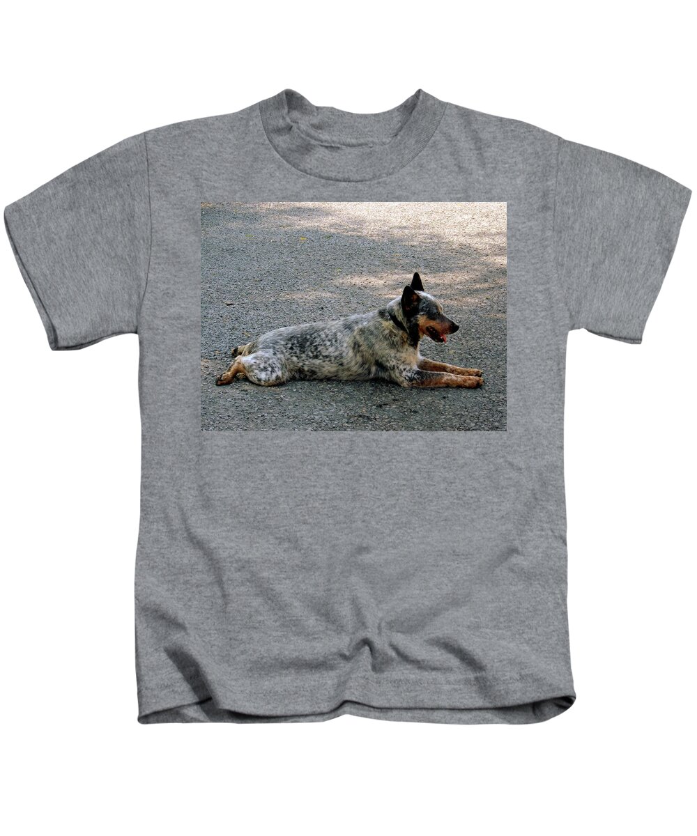 Camouflage Kids T-Shirt featuring the photograph Cattle dog by Marysue Ryan