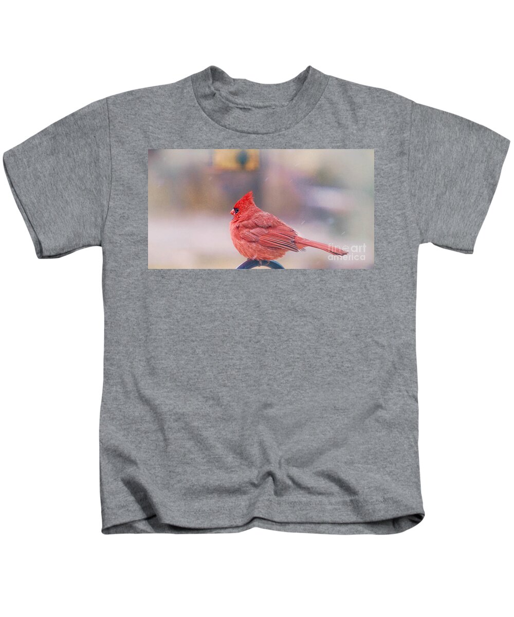 Cardinal Birds Kids T-Shirt featuring the photograph Cardinal Bird by Peggy Franz