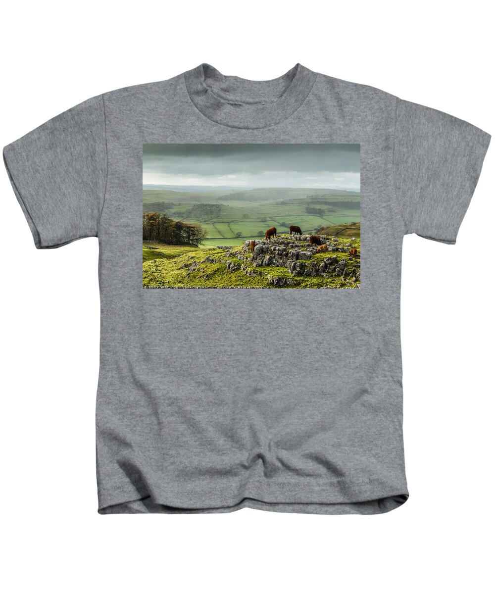 Animals Kids T-Shirt featuring the photograph Cattle in the Yorkshire Dales by Sue Leonard