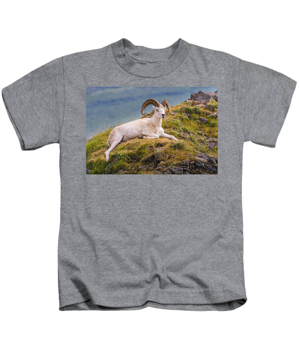 Sheep Kids T-Shirt featuring the photograph Dall Sheep Denali Alaska by Fred J Lord