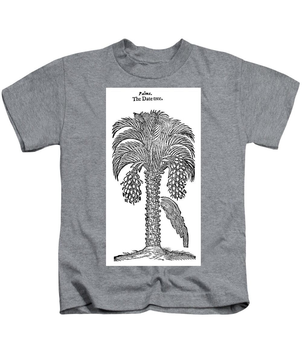 1597 Kids T-Shirt featuring the drawing Date Palm, 1597 by Granger