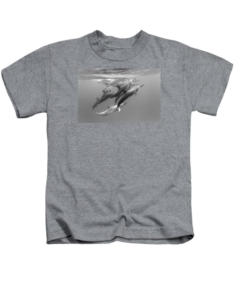 #faatoppicks Kids T-Shirt featuring the photograph Dolphin Pod by Sean Davey