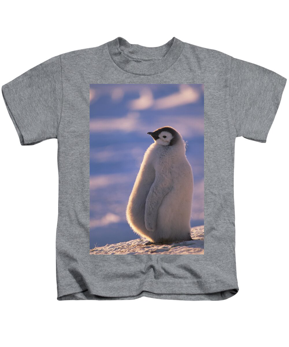 Feb0514 Kids T-Shirt featuring the photograph Emperor Penguin Chick Weddell Sea by Tui De Roy