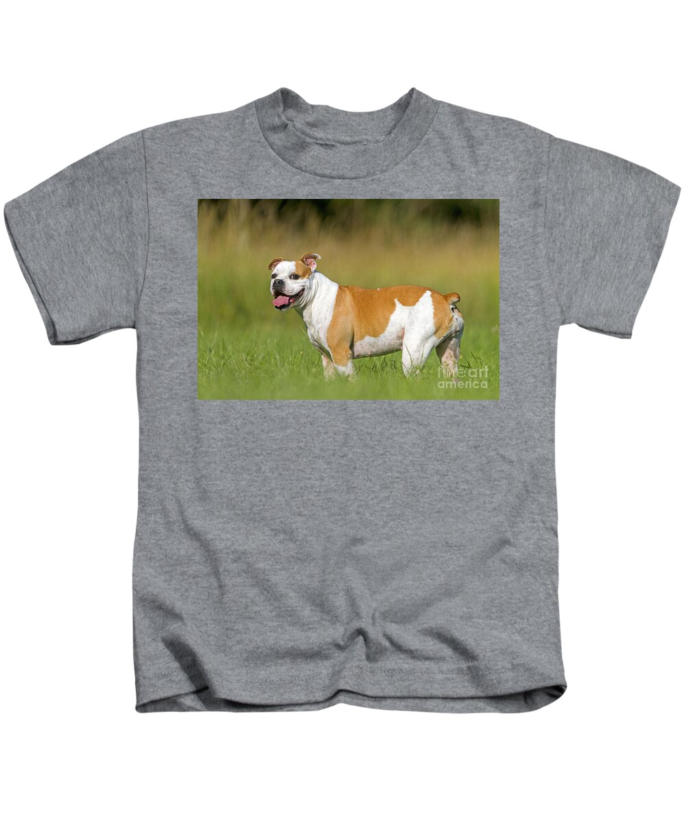 English Bulldog Kids T-Shirt featuring the photograph English Bulldog by M. Watson