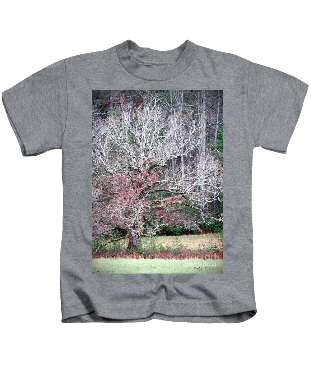 Landscape Kids T-Shirt featuring the photograph Fall At Cades Cove by Todd Blanchard