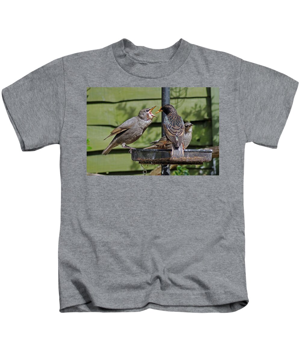 Juvenile Starling Kids T-Shirt featuring the photograph Feeding Time by Tony Murtagh