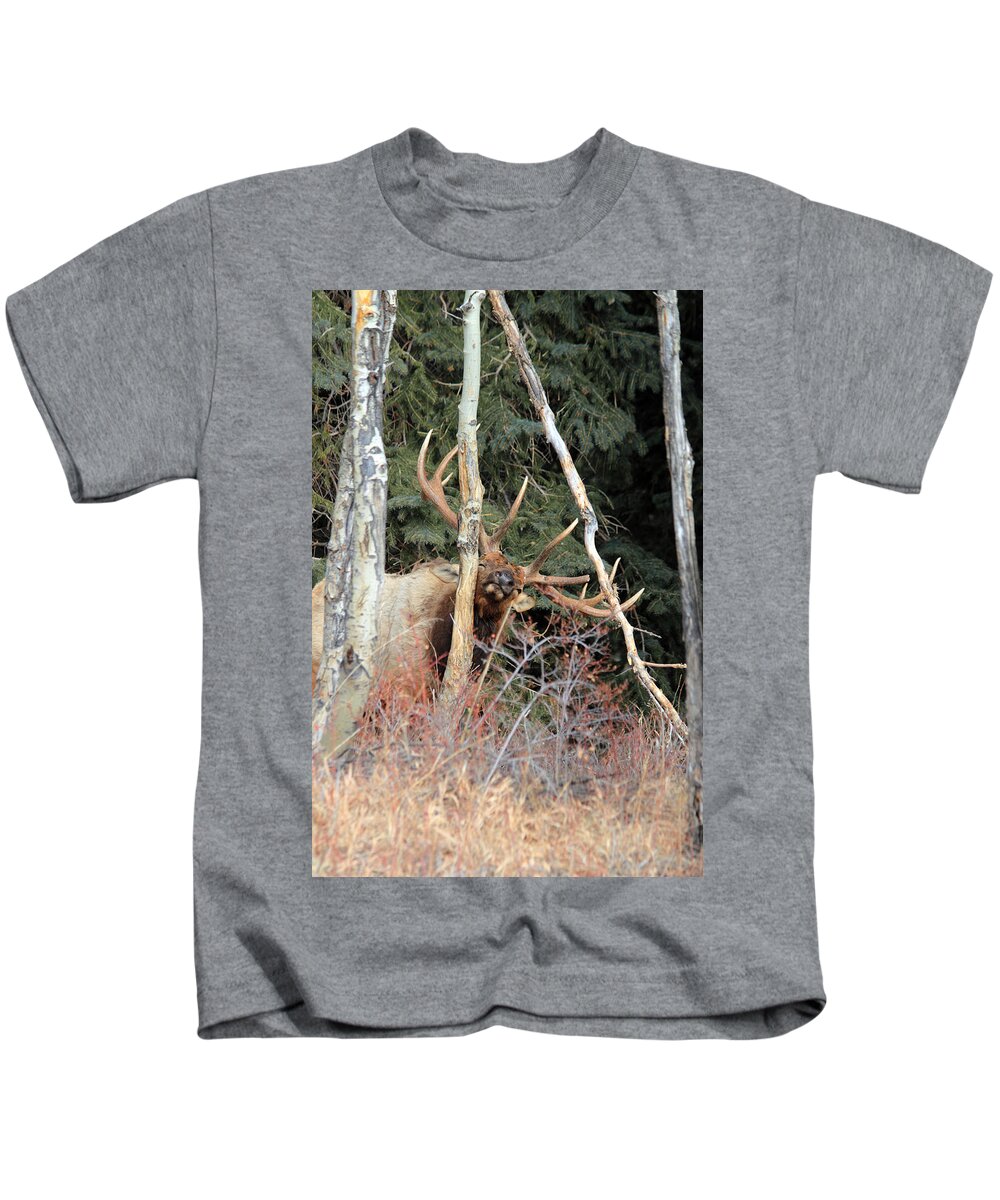 Elk Kids T-Shirt featuring the photograph Feels So Good by Shane Bechler
