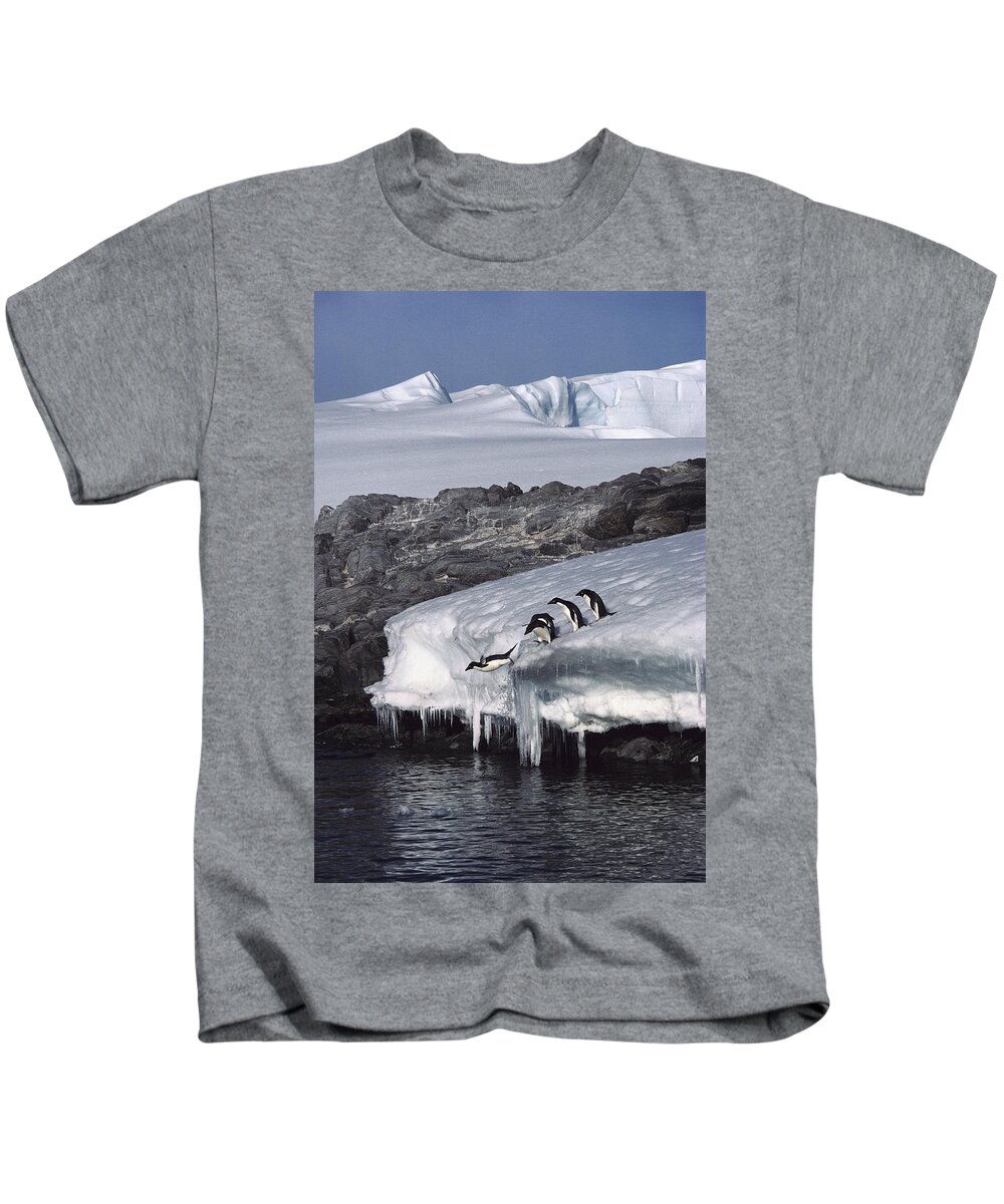 Feb0514 Kids T-Shirt featuring the photograph Five Adelie Penguins Diving Antarctica by Colin Monteath