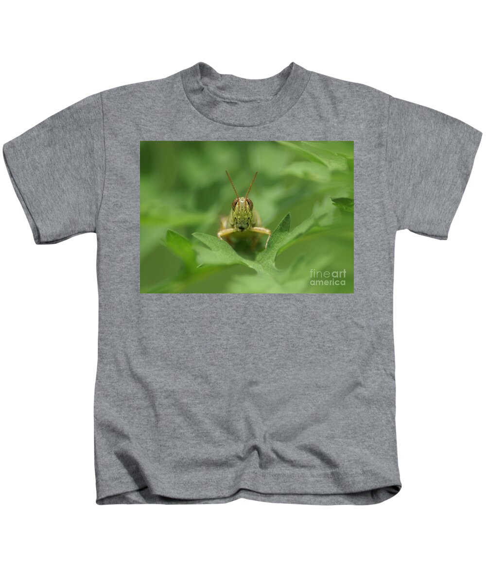 Grasshopper Kids T-Shirt featuring the photograph Grasshopper Portrait by Olga Hamilton