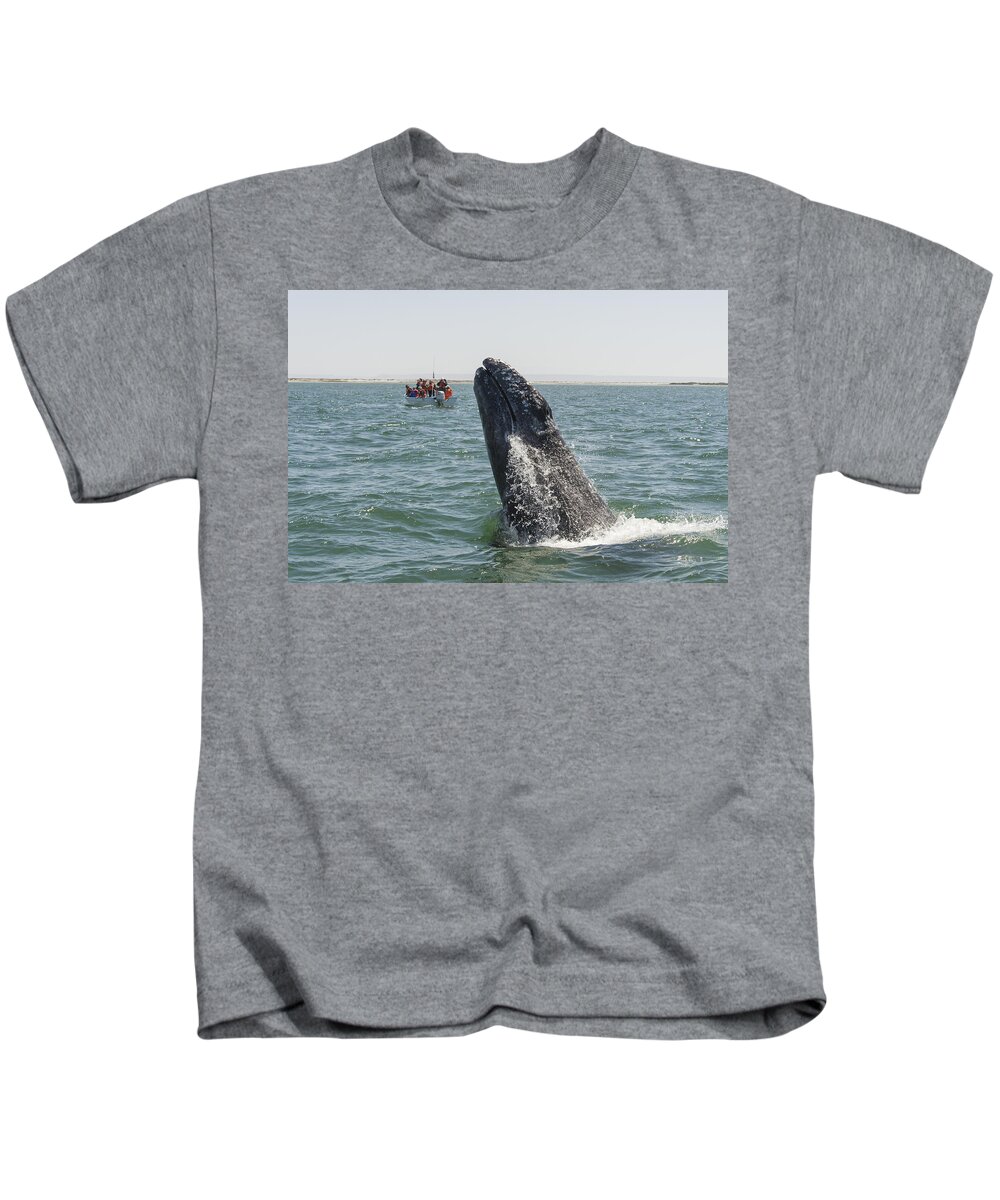 531657 Kids T-Shirt featuring the photograph Gray Whale Calf Breaching San Ignacio by Suzi Eszterhas