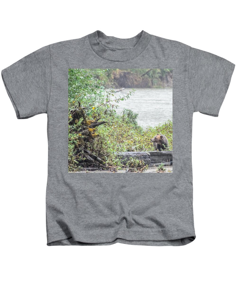 Grizzly Bear Kids T-Shirt featuring the photograph Grizzly Bear Late September 2 by Roxy Hurtubise