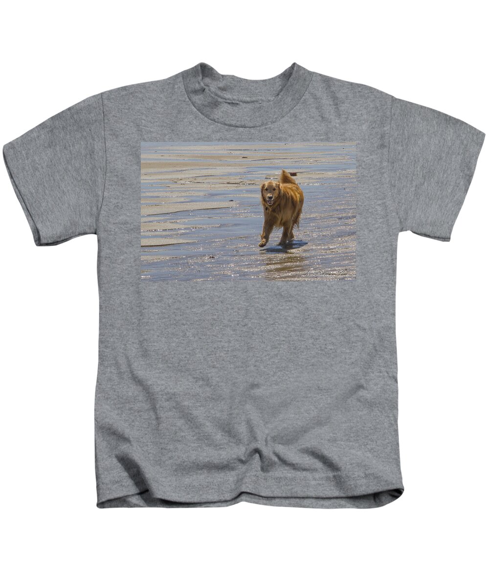 Golden Retriever Kids T-Shirt featuring the photograph Happy Dog at Beach by Natalie Rotman Cote
