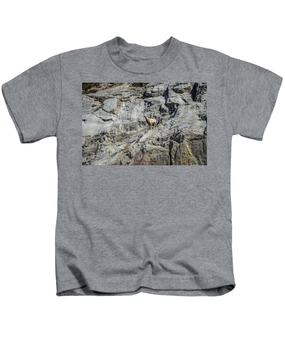 Big Horn Sheep Kids T-Shirt featuring the photograph Big Horn Sheep Coming Down The Mountain by Roxy Hurtubise