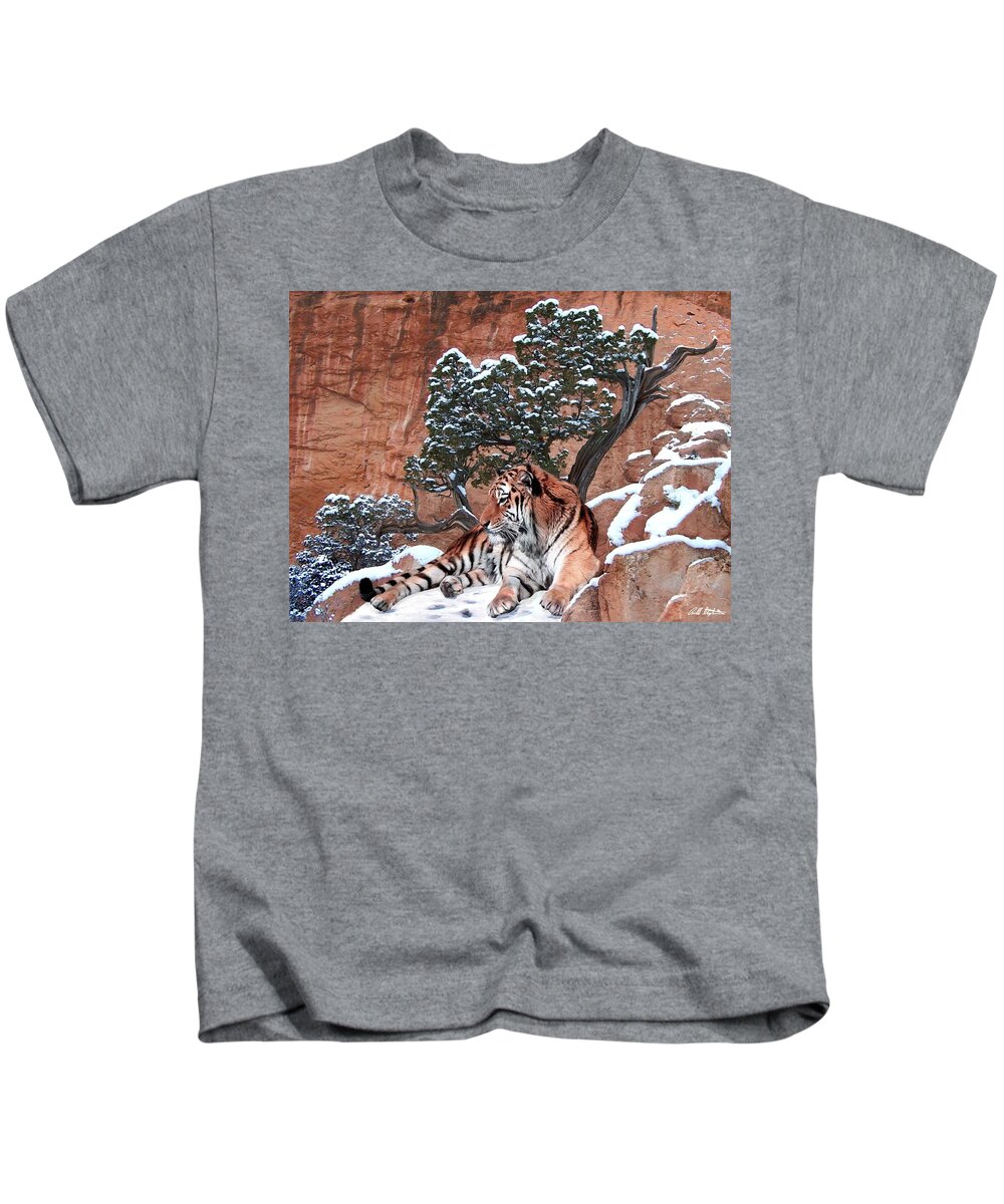 Tigers Kids T-Shirt featuring the photograph His Mountain by Bill Stephens