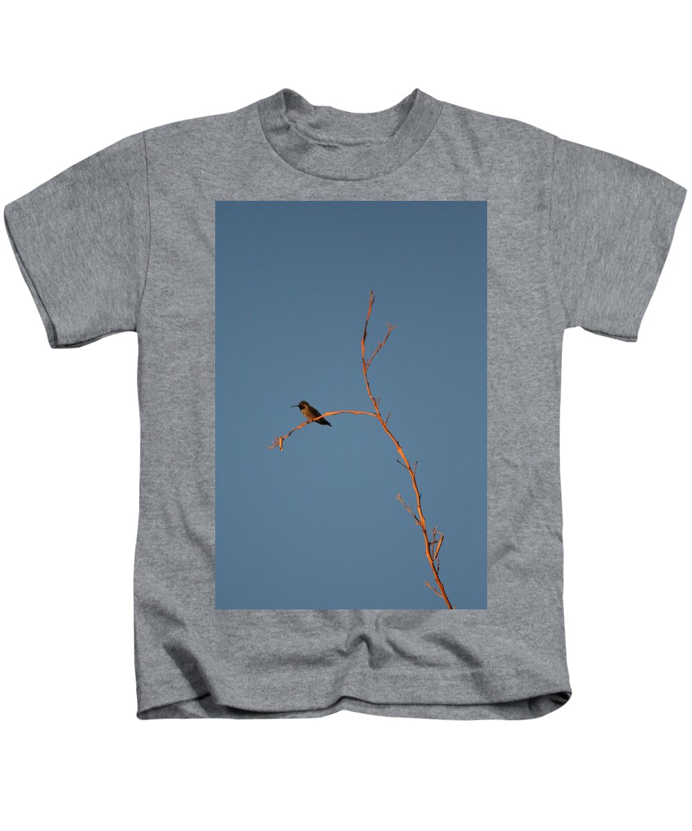 Hummingbird Kids T-Shirt featuring the photograph Hummingbird by David S Reynolds