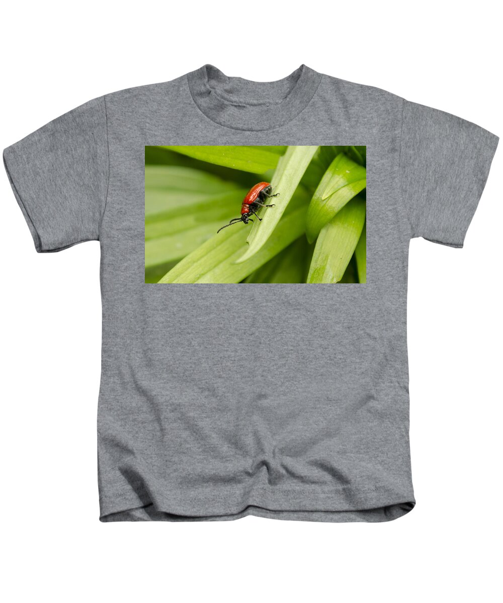 Lily Beetle Kids T-Shirt featuring the photograph Lily Beetle by Spikey Mouse Photography