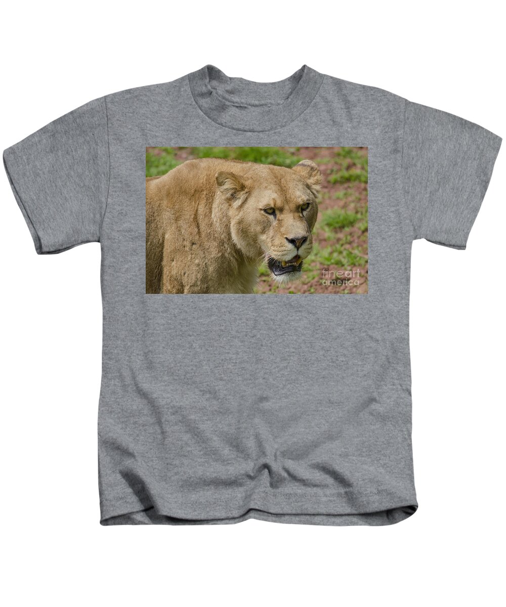 Lion Kids T-Shirt featuring the photograph Lioness by Steev Stamford