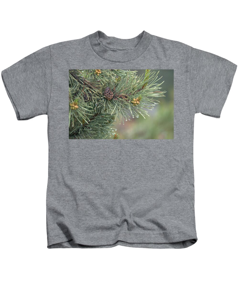 Pine Kids T-Shirt featuring the photograph Lodge Pole Pine in the Fog by Frank Madia