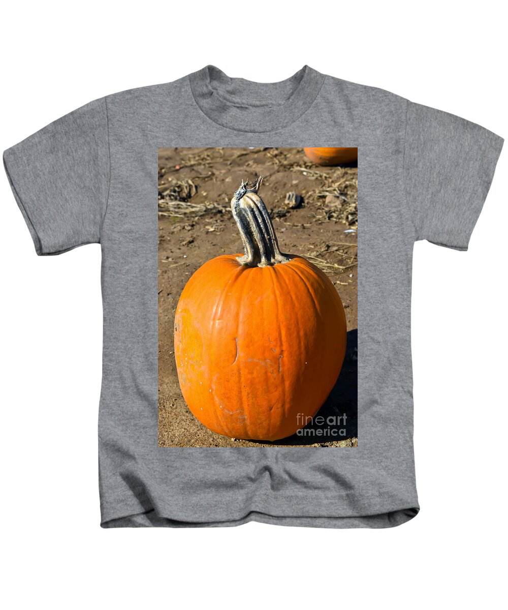 Field Kids T-Shirt featuring the photograph Lonely Pumpkin by PatriZio M Busnel